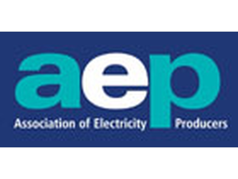 AEP (Association of Electricity Producers)