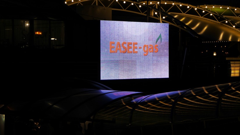 EASEE-gas 2018 GMoM