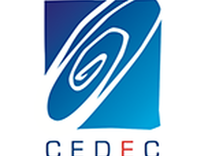 CEDEC (European Federation of Local Energy Companies)