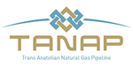 Tanap logo