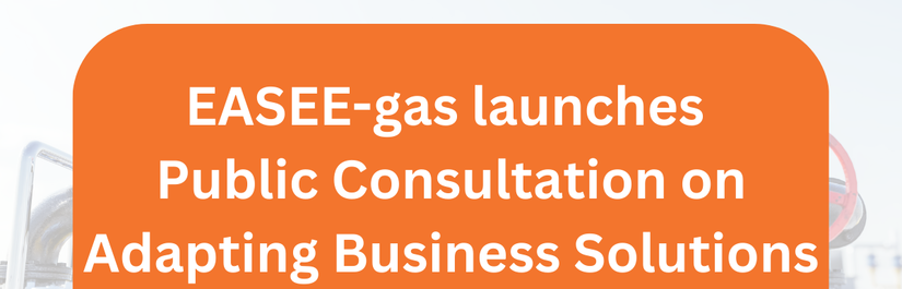 EASEE-gas launches  Public Consultation on Adapting Business Solutions for ‎Renewable Gases and CO2‎